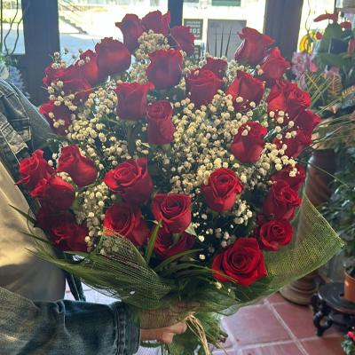 94b4db8e A4dc 43f1 8f3c Ae8b61cffa35