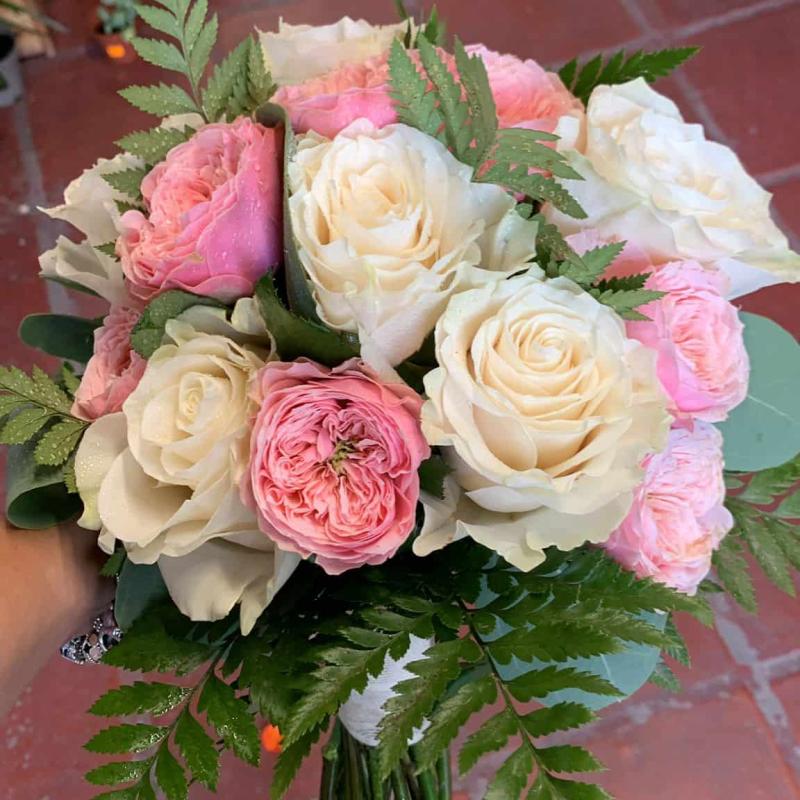 Ae75a41f C2a1 4e59 B2ef 7efab5edd357