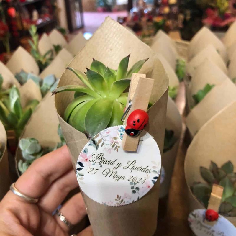 9ac98fa8 E7a1 49e9 8a2c 420ac703408c 1