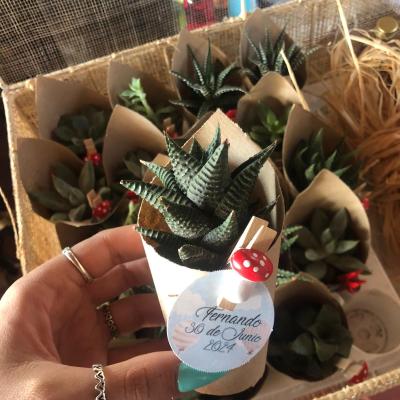 D85a9f60 F27c 4015 9a83 4e9aa64f08d5